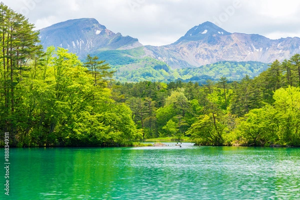 Obraz 日本の風景・初夏　福島県裏磐梯　新緑の五色沼湖沼群　毘沙門沼と磐梯山