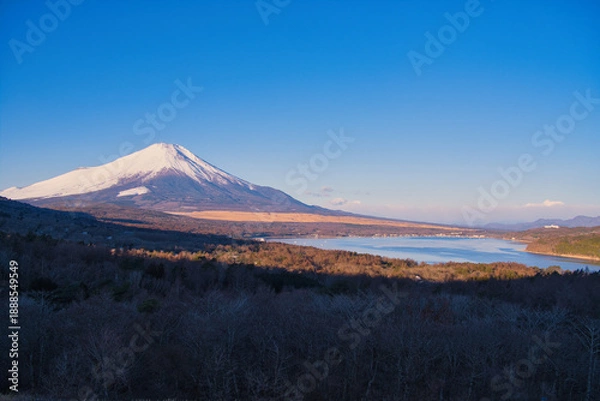 Obraz 山中湖明神山パノラマ台から望む冠雪の富士山