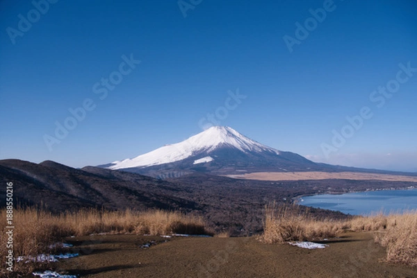 Obraz 鉄砲木の頭から望む冠雪の富士山