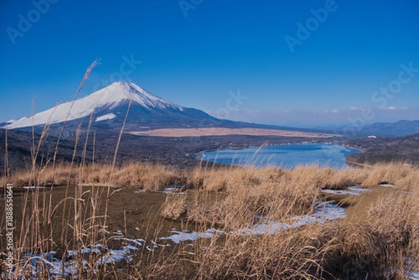 Obraz 鉄砲木の頭から望む冠雪の富士山