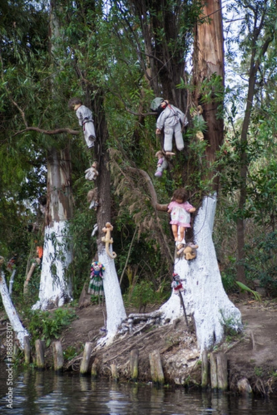 Obraz Isla de las Muñecas