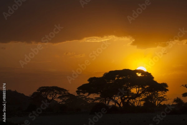 Obraz Tanzania sunset landscape