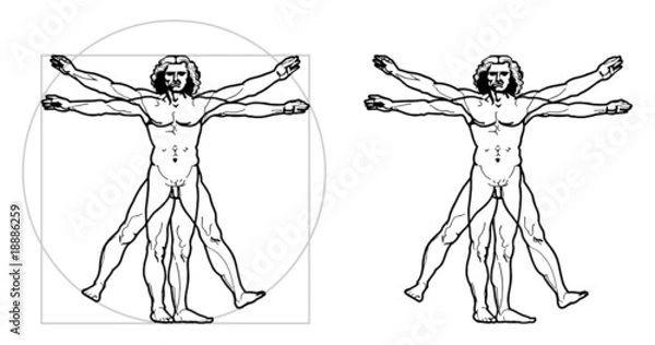 Obraz Leonardo's Vitruvian Man (vector)