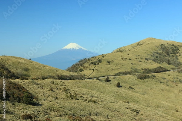 Obraz 西伊豆スカイライン