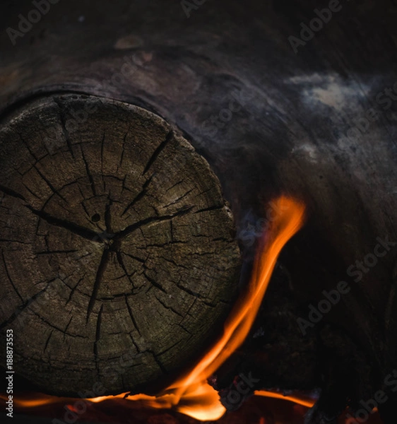 Obraz Wrapped in Flame