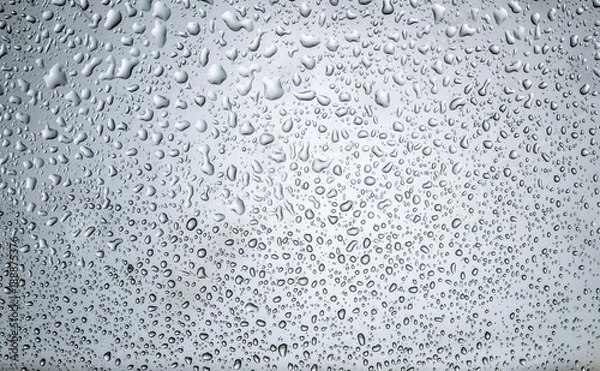 Fototapeta Many small rain water droplets on a clear window glass, macro closeup, blue color