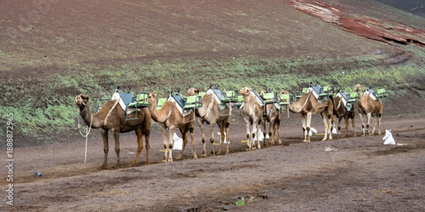 Obraz Lanzarote - Timanfaya (2026-01)