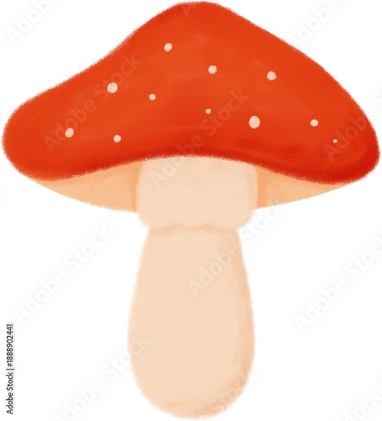 Obraz 버섯 일러스트