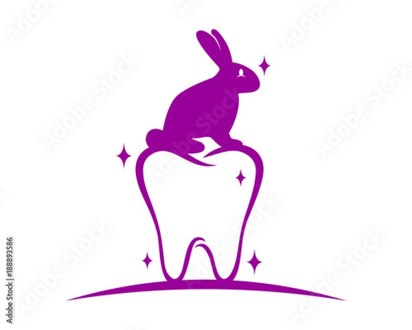 Fototapeta purple tooth dental rabbit hare rabbit fauna image