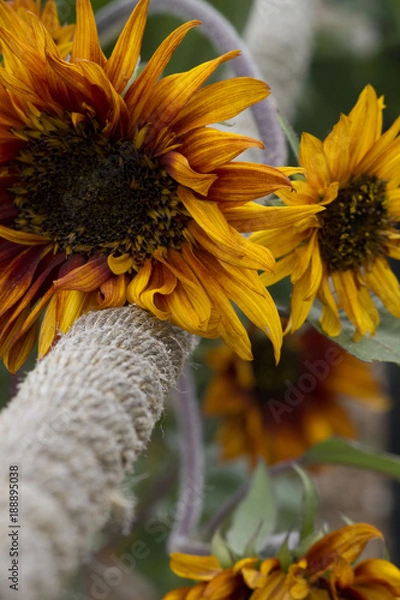 Obraz Leaning on a Strong Arm