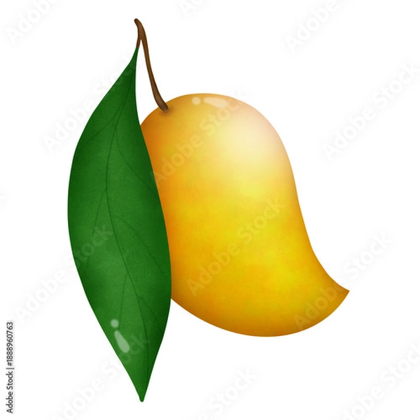 Obraz Mango 