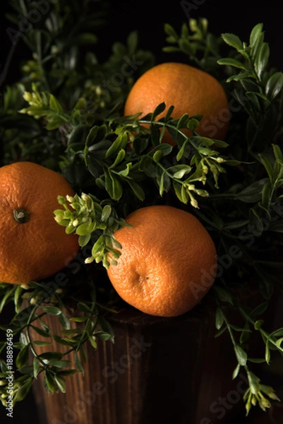 Obraz oranges in a basket