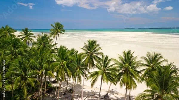 Obraz Aerial shot of deserted tropical beach