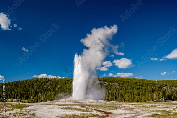 Obraz Gejzer Old Faithful w Parku Narodowym Yellowstone