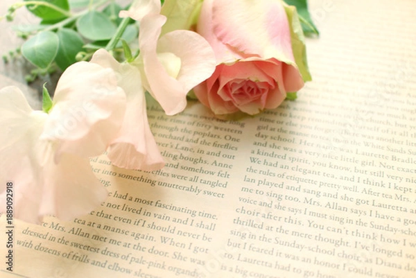 Obraz バラの花の背景