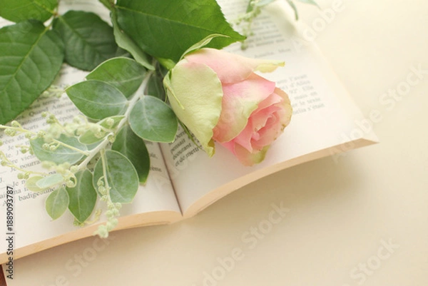 Obraz バラの花の背景