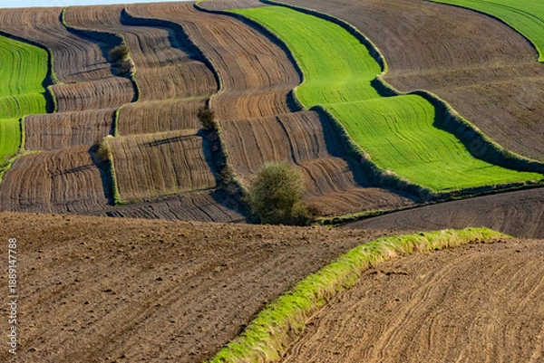 Obraz Pofałdowane pola