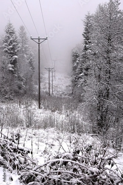 Fototapeta Electicité en hiver