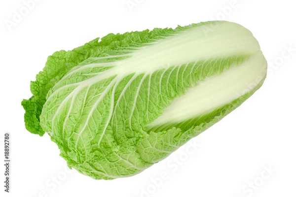 Obraz celery cabbage