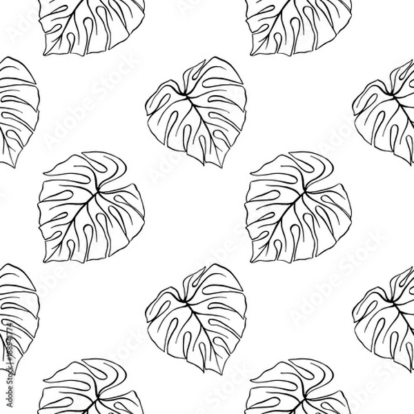 Obraz Monstera leaf tropical plant ink line art hand drawn sketch seamless pattern texture background vector