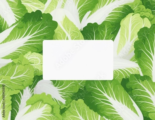 Obraz 白菜のプライスカード