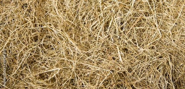 Fototapeta Schatztruhe