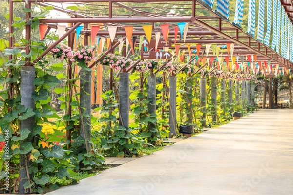 Fototapeta Empty pedestrian walkway with steel pole and pumpkin vine in the garden.