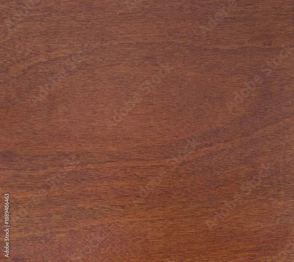 Obraz ラワン材テクスチャ