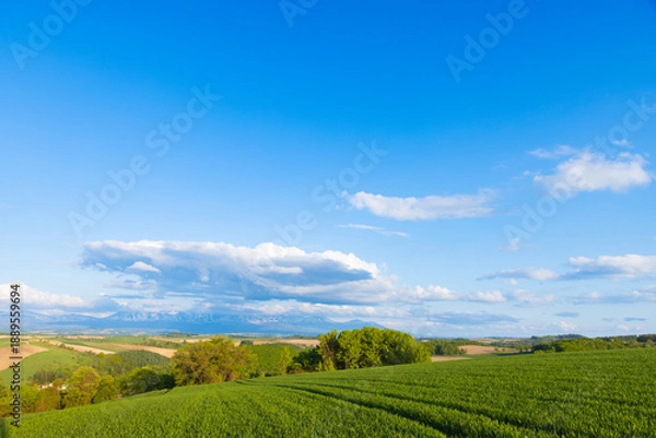 Obraz 北海道美瑛2025春-五稜からの風景-