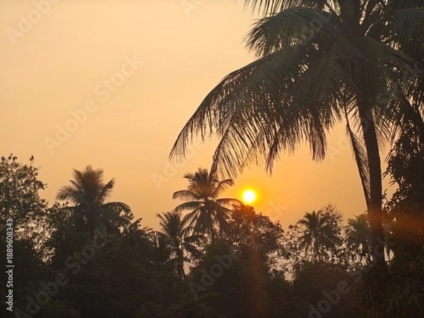 Fototapeta palm trees at sunset