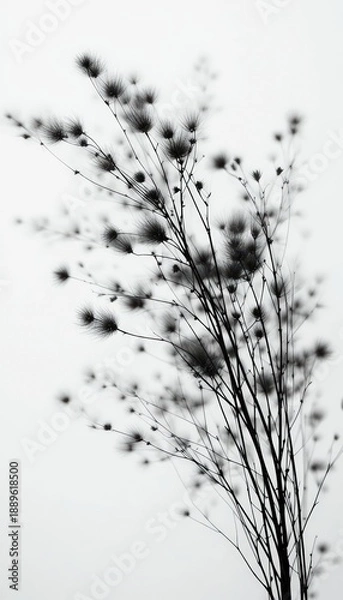 Fototapeta Elegant Minimal Botanical Motion Blur Background 2