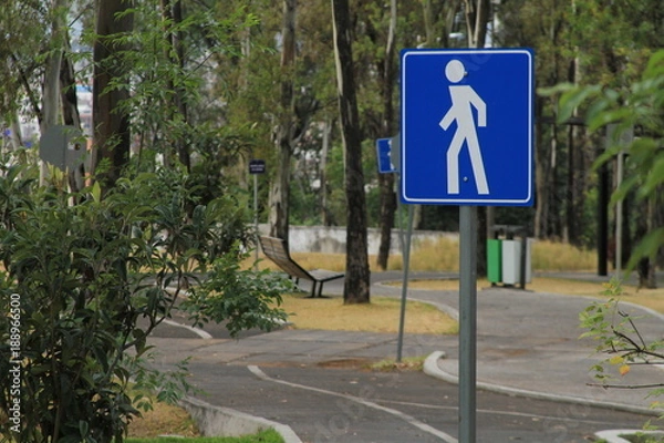 Obraz Camino en parque