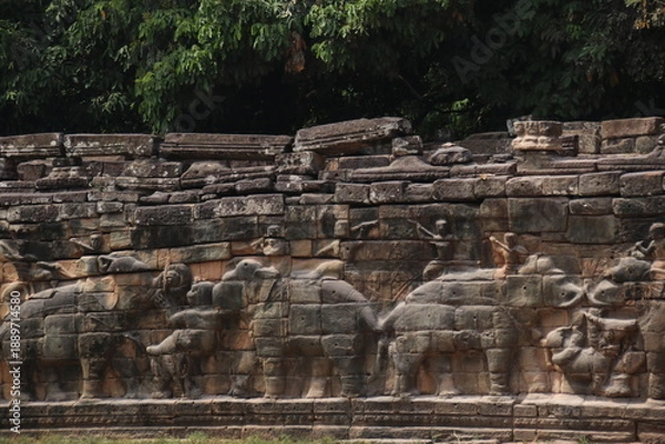 Obraz 象のテラス