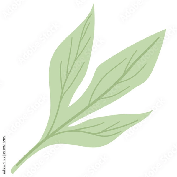 Obraz Green Leafs Illustration