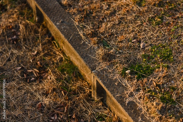 Obraz 農地の仕切りに埋められたコンクリート壁