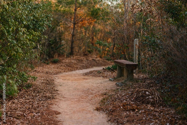 Obraz 登山道とベンチ
