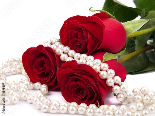 Obraz Red rose and pearls