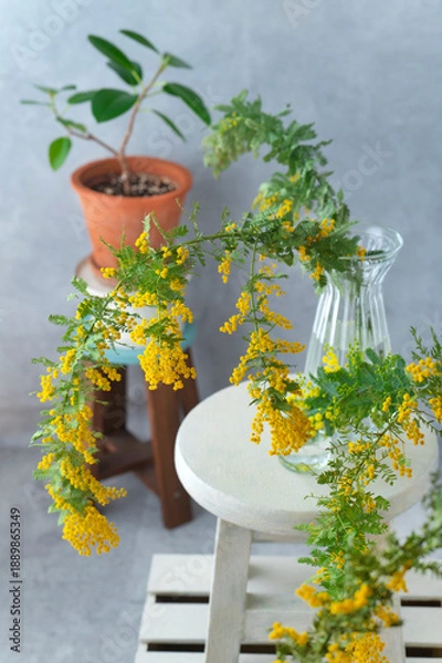 Obraz 花瓶に活けたミモザの花と観葉植物