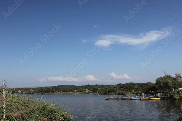 Obraz 石川木場潟公園