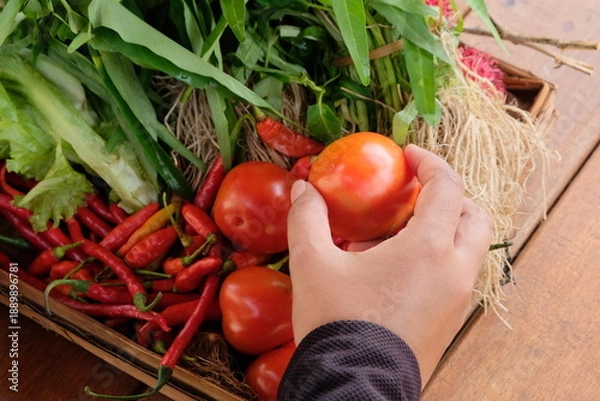 Obraz fresh vegetables in a basket