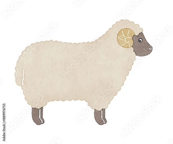 Obraz 角のある黒い顔の羊　やさしい手描き風イラスト