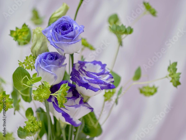 Obraz 色鮮やかなトルコギキョウ