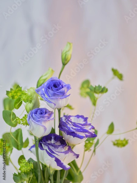 Obraz 色鮮やかなトルコギキョウ