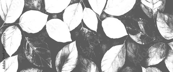 Obraz Vector black and white tree leaves 