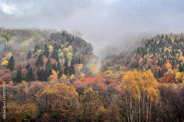 Obraz Teberda Reserve (Тебердинский заповедник)