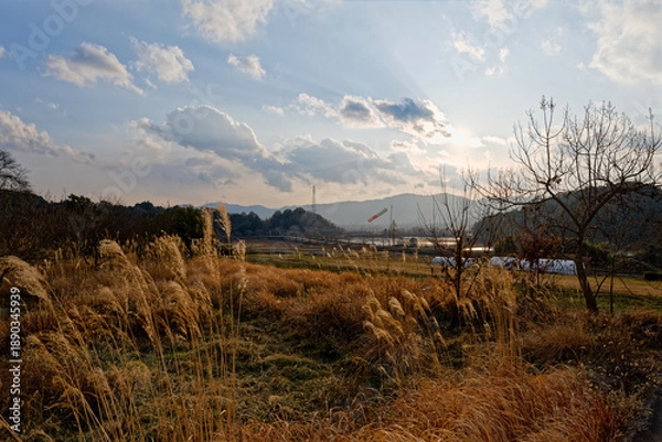 Obraz 田舎の風景