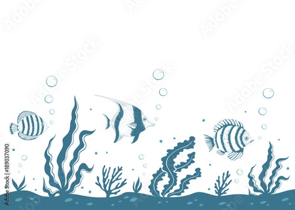 Obraz Underwater hand drawn landscape. Vector illustration.