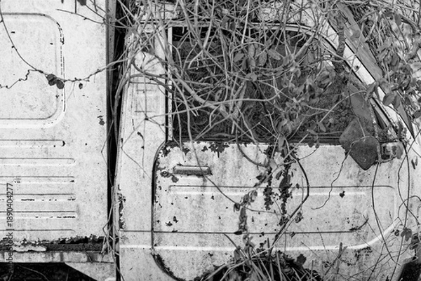 Obraz ツルに覆われた古い車