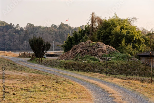 Obraz 道路脇に集積された枝葉の山