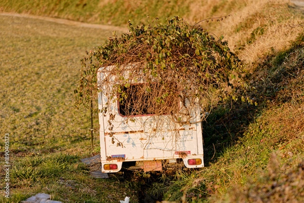 Obraz ツルに覆われた古い車